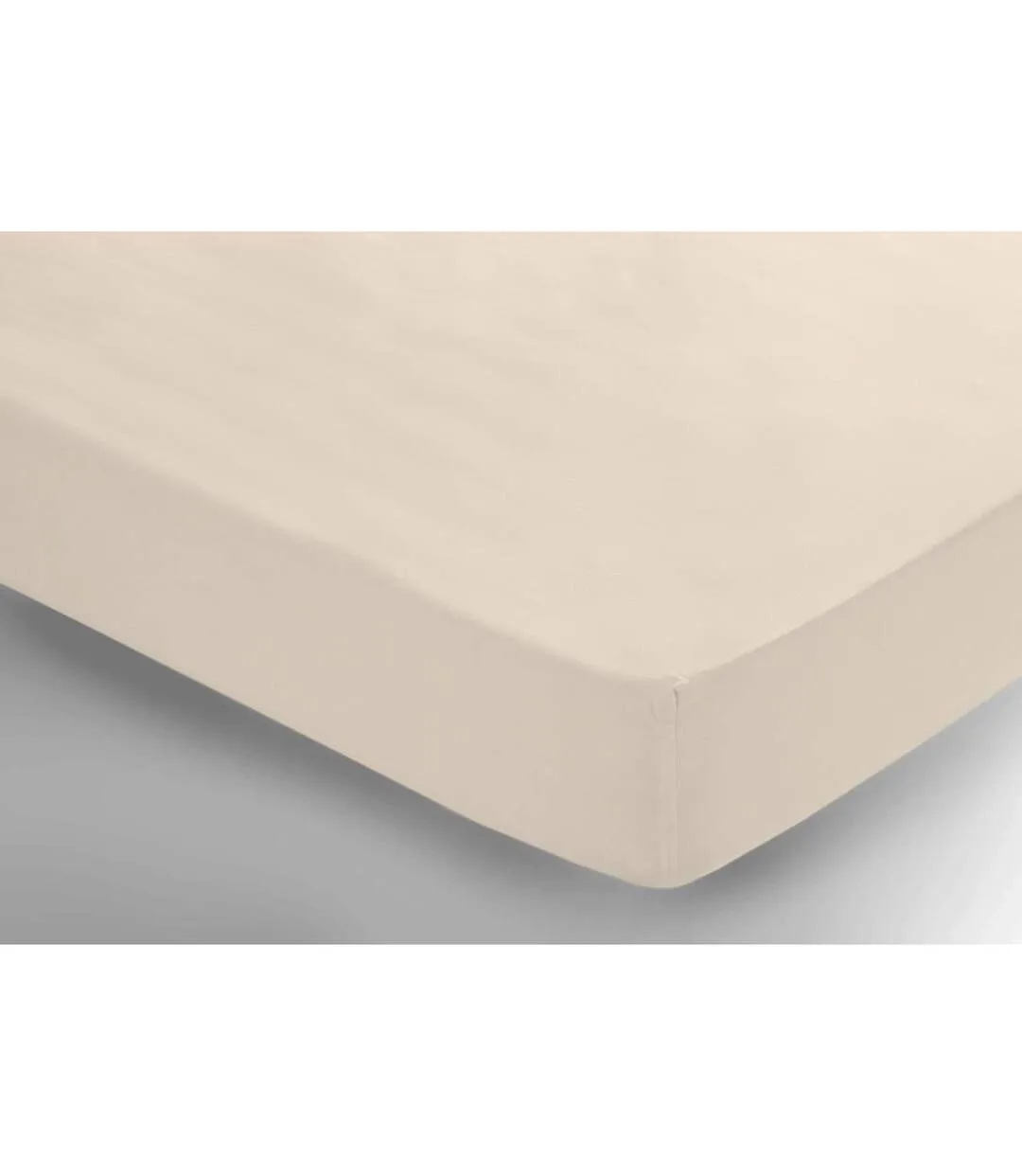 200 thread count egyptian cotton fitted sheet papyrus Belledorm